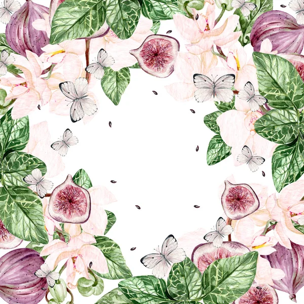 Schöne Aquarell Helle Karte Mit Orchideenblüten Und Feigenfrüchten Schmetterlinge Illustration — Stockfoto