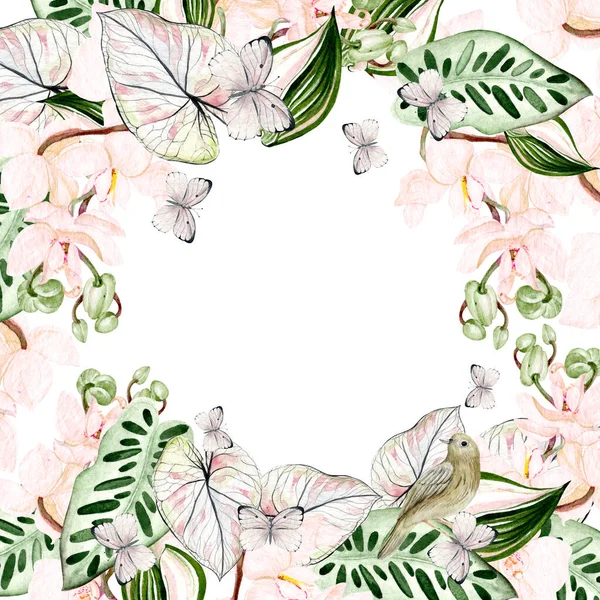Schöne Aquarellkarte Mit Tropischen Blättern Orchideenblume Vogel Und Schmetterling Illustration — Stockfoto