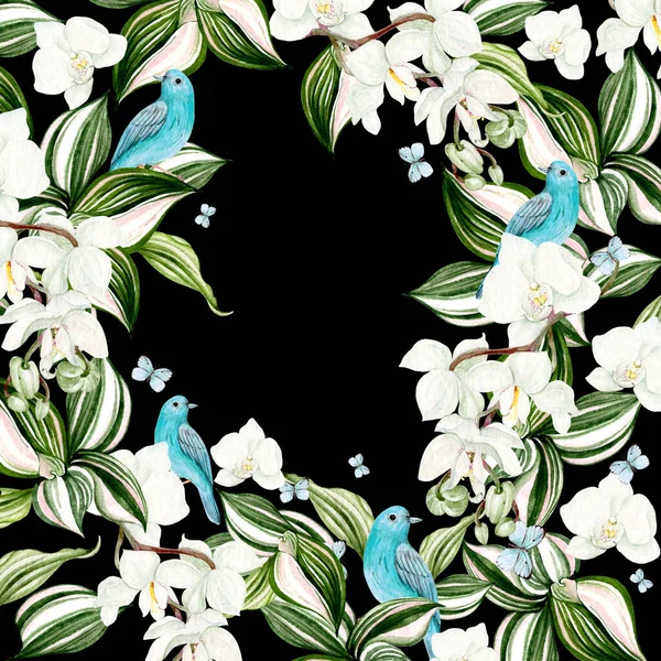 Prachtige Aquarel Kaart Met Orchidee Bloemen Blauwe Vogel Illustratie — Stockfoto