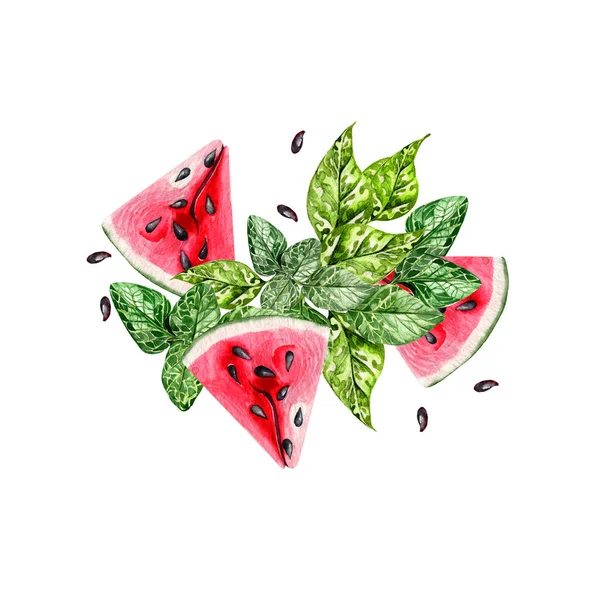 Summer Watercolor Card Tropical Leaves Slices Watermelon Green Leaves Illustration — Stock Photo, Image