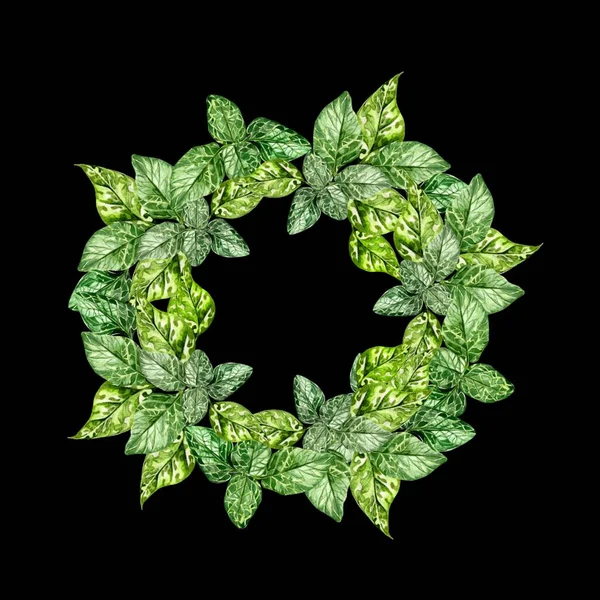 Watercolor Wreath Green Leaves Mint — Stock Photo, Image
