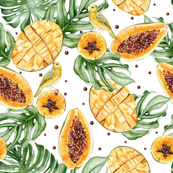 Beautiful Watercolor Tropical Pattern Fruits Papaya Mango Yellow Bird Illustration — Stock Photo, Image