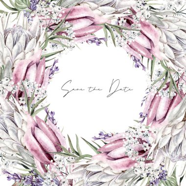 Beyaz çiçekli güzel suluboya çelenk gypthe, protea ve yapraklar. Görüntü