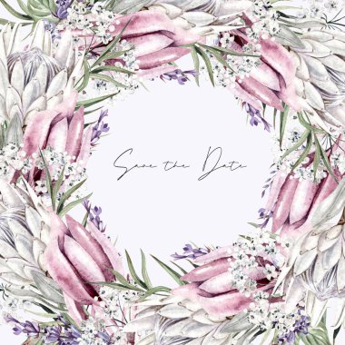 Beyaz çiçekli güzel suluboya çelenk gypthe, protea ve yapraklar. Görüntü