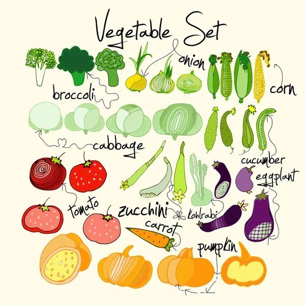 Conjunto de verduras — Vector de stock