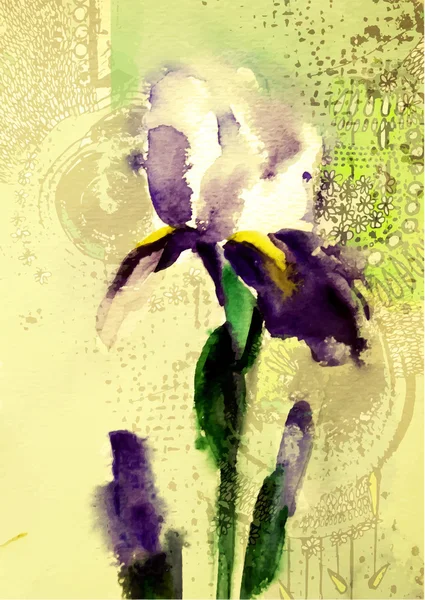 Beautiful violet iris flower. — Stock Vector