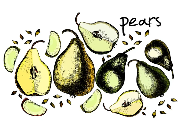 Set of drawing pears — Stock Vector