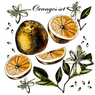 Meyve, çiçek ve yaprakları Orange ile ayarla.