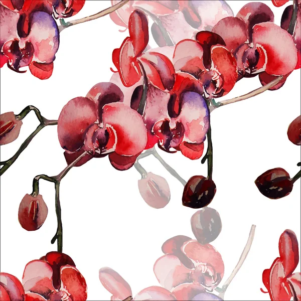 Orchidée fleur, aquarelle, dessin à la main . — Image vectorielle