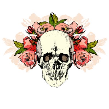 illüstrasyon kafatası ile. el çizmek.