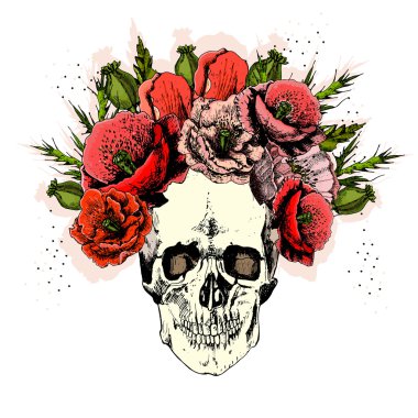 illüstrasyon kafatası ile. el çizmek.