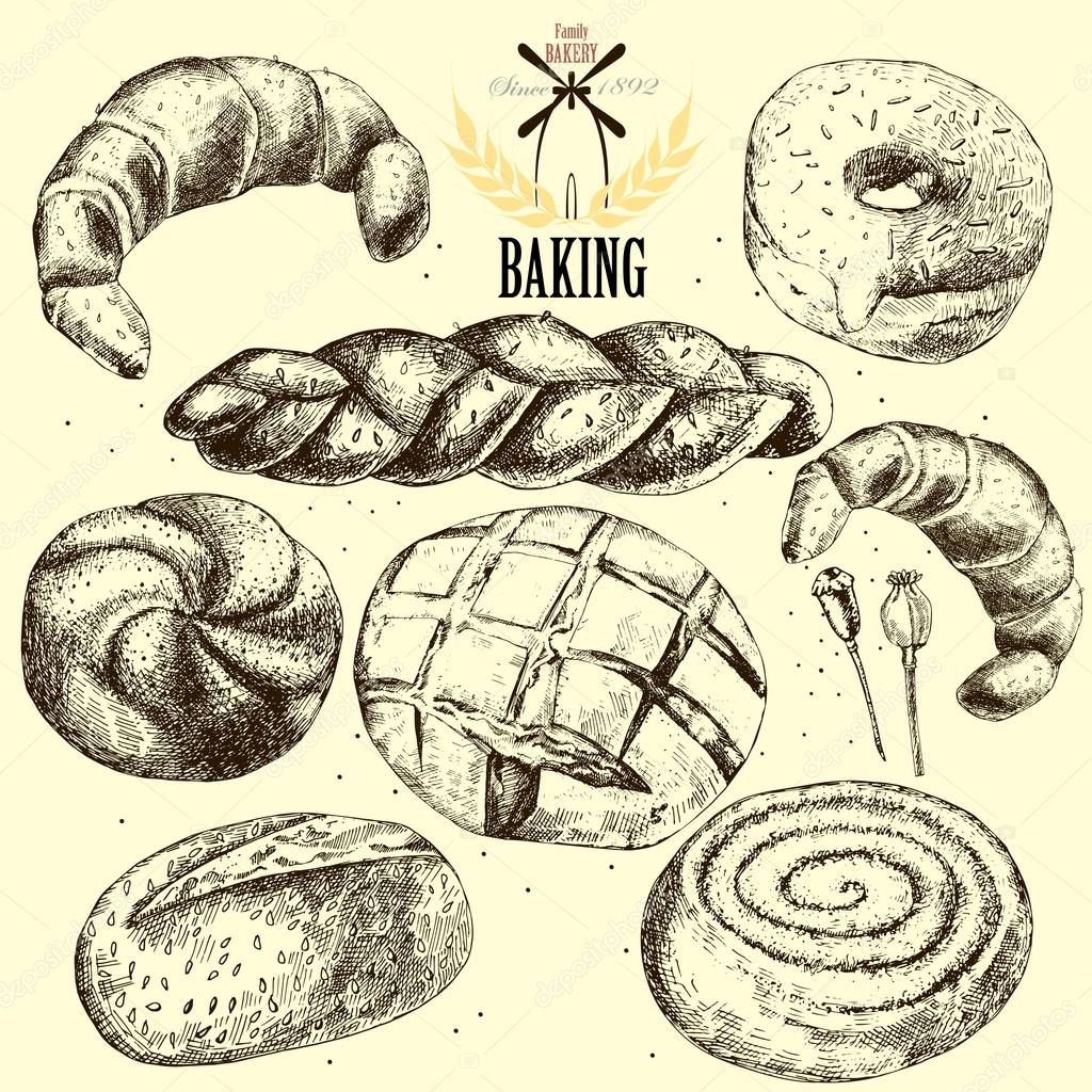 Bakery vector set. Hand drawn sketch Collection of bread