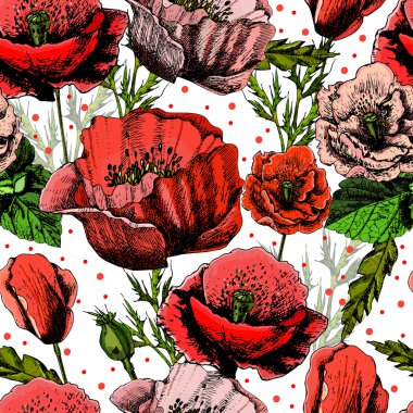 parlak renkli gelincikler desenle