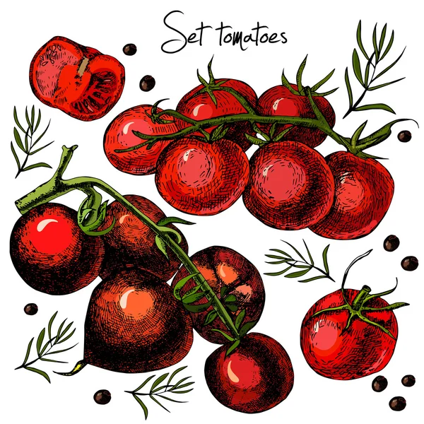 Juego de tomates dibujados a mano — Vector de stock