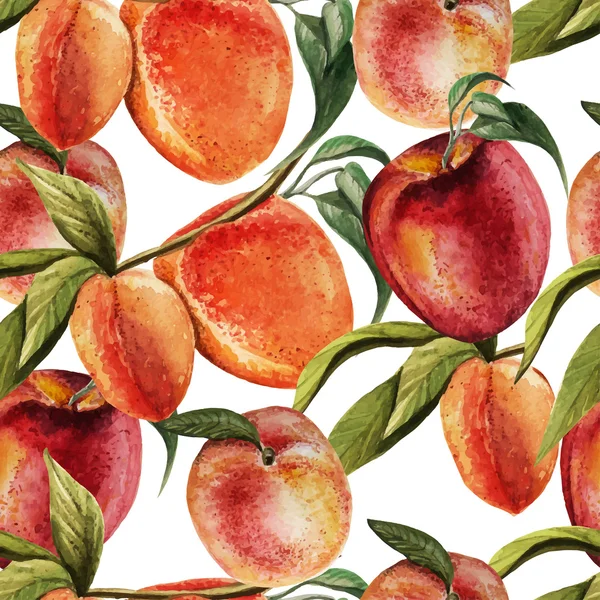 Aquarel patroon met perziken. — Stockvector