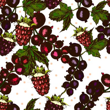 çilek, böğürtlen, ahududu, beyaz bir arka plan üzerinde kuş üzümü ile güzel desen