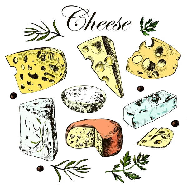 Conjunto de dibujo a mano con diferentes quesos — Archivo Imágenes Vectoriales