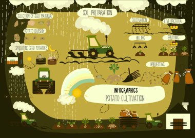 Patates ekimi, infographics