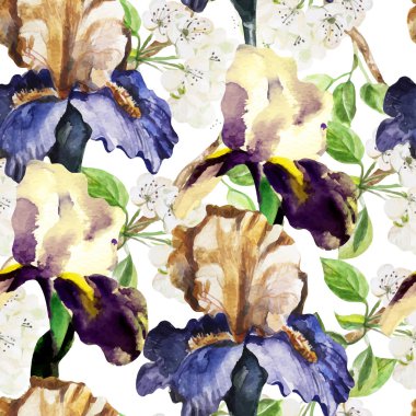 Dikişsiz desen suluboya çiçekli. Iris.