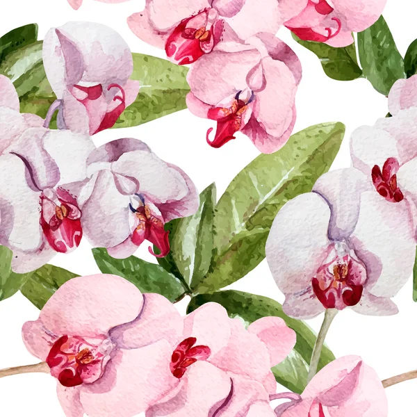 Il modello con i fiori del orchid — Vettoriale Stock