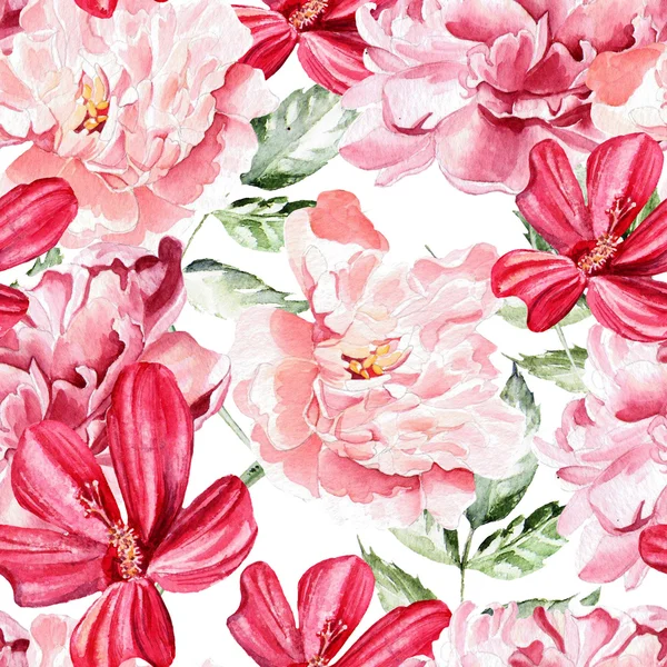 Dikişsiz desen suluboya çiçekli. Peonies.