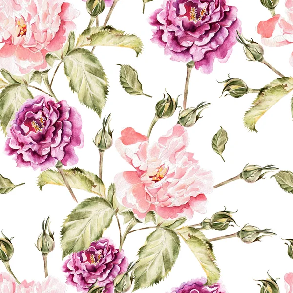 Çiçekler, peonies ve gül, tomurcukları ve yaprakları suluboya desen.