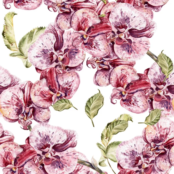 Seamless pattern with orchid flowers and leaves. — Stock Photo, Image