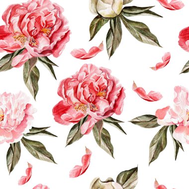 Dikişsiz desen suluboya çiçekli. Peonies. 