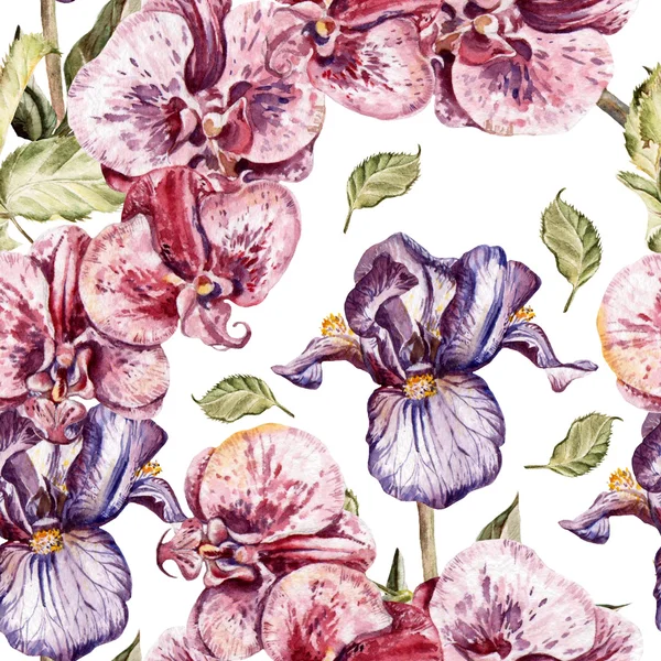 Seamless pattern with orchid flowers and iris flowers. — Stock Photo, Image