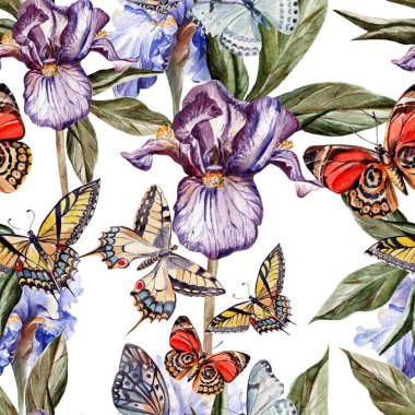 güzel kelebek ve çiçek Iris'le suluboya desen.