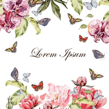 Güzel suluboya kağıdı ile Şakayık çiçekleri ve orkide çiçek. Kelebekler ve bitkiler.