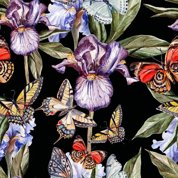 Watercolor pattern with beautiful butterflies and flowers iris. — Stock Photo, Image