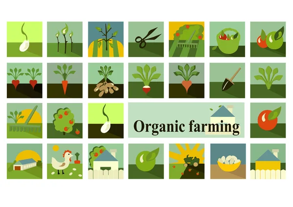 Conjunto de ícones. Agricultura biológica . — Vetor de Stock