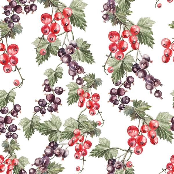 Water color pattern with berries red and black currant. — Stock Photo, Image