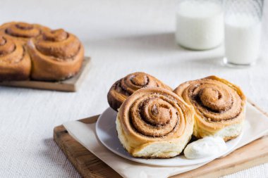 Tarçınlı rulo. Açık kırsal arka planda ev yapımı tarçınlı çörekler, seçici odaklanma.