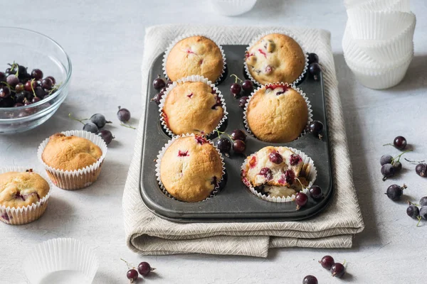 Fresh baked muffins with berries in a muffin tin with one cup of berries in background, selective focus.