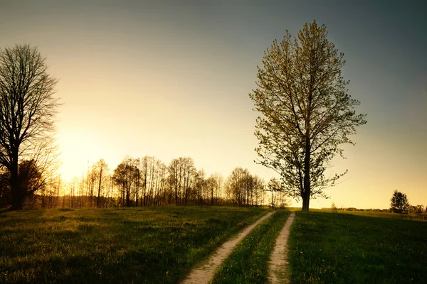 Country road at sunset — Stock Photo, Image