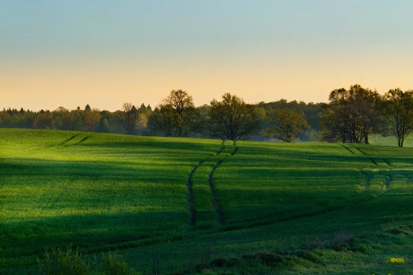 Faixas de campo 1 — Fotografia de Stock