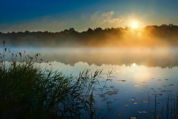 Sawinda amanecer 5a — Foto de Stock