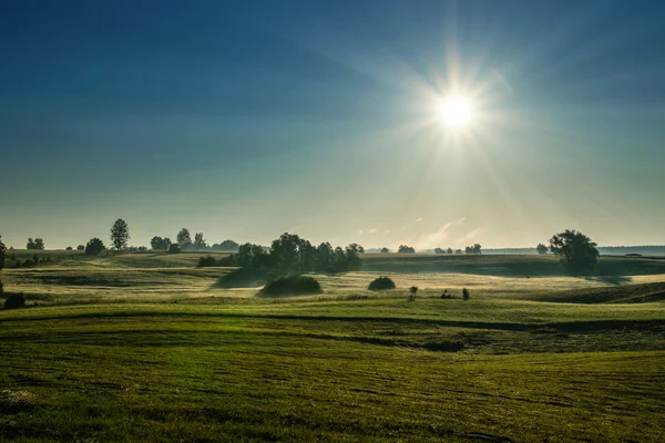 Sonne geht über Wiesen auf — Stockfoto