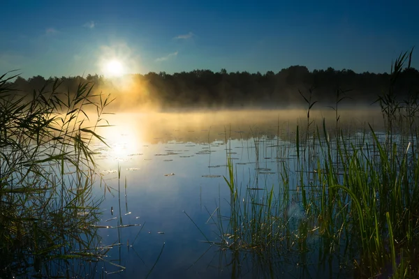 Sawinda amanecer 1 — Foto de Stock