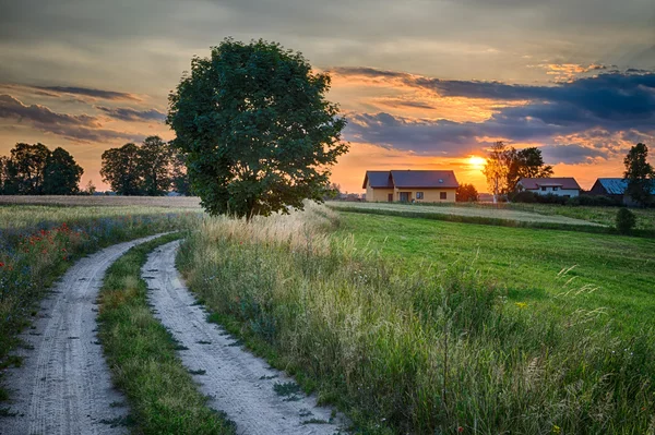 Road wheat field 4 HDR — Stock Photo, Image