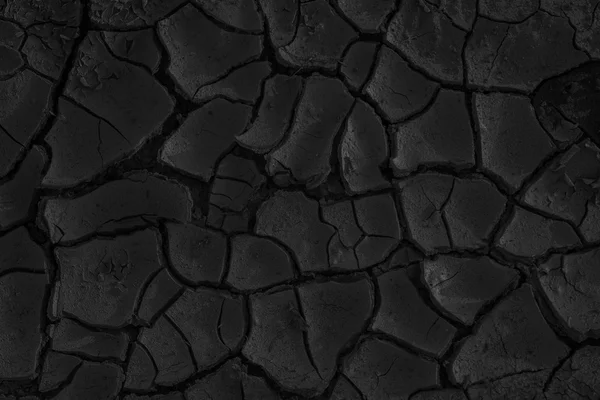 Dried out soil 3 bw — Stock Photo, Image