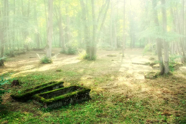 Vervallen oude graven — Stockfoto
