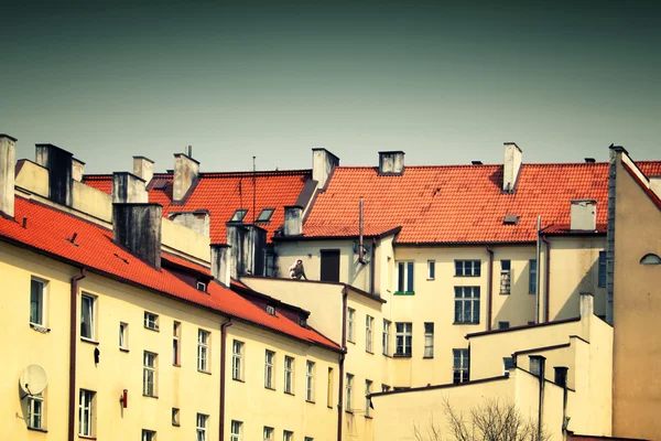 Monkey on the roof — Stock Photo, Image