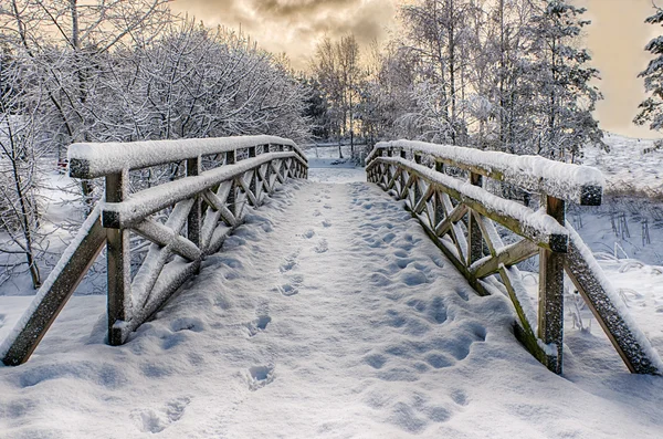 Petit pont enneigé — Photo