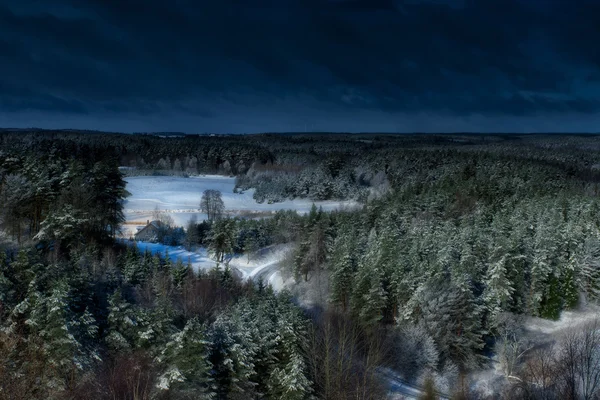 Floresta escura de inverno — Fotografia de Stock