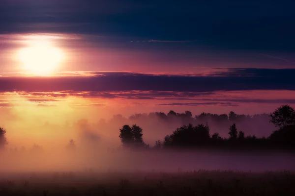 Nebliger Sonnenaufgang über Wiese 2 — Stockfoto