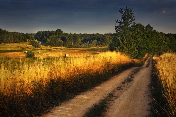 Estrada rural entre campos de trigo 2 — Fotografia de Stock