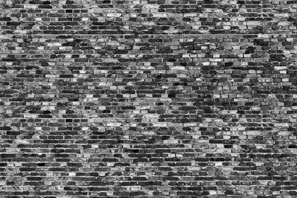 Winzige Ziegelmauer — Stockfoto